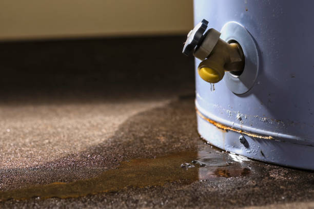 Best Basement water damage restoration  in Trion, GA