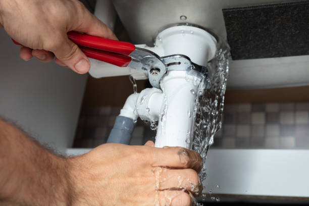 Best Flood damage cleanup  in Trion, GA
