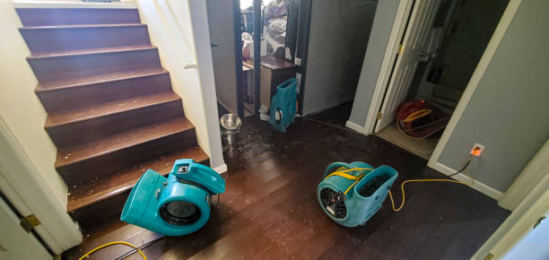 Best Flood damage cleanup  in Trion, GA