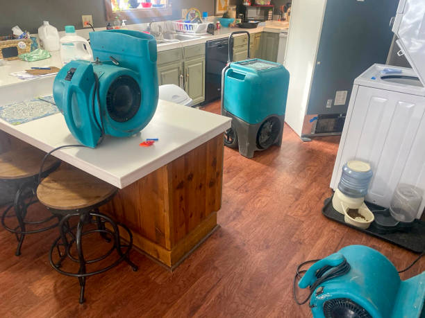 Best 24/7 water damage repair  in Trion, GA