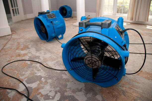 Best Water damage restoration near me  in Trion, GA