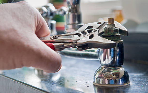 Best Flood restoration services  in Trion, GA