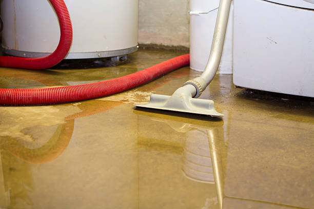 Best Water damage contractors near me  in Trion, GA