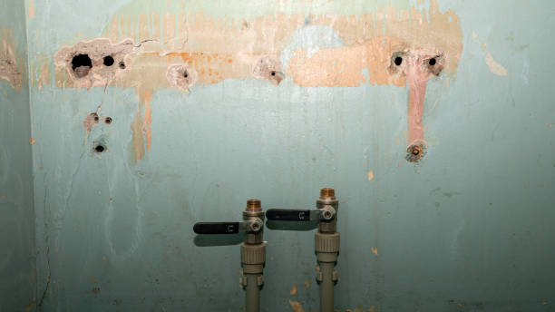 Best Water damage cleanup near me  in Trion, GA