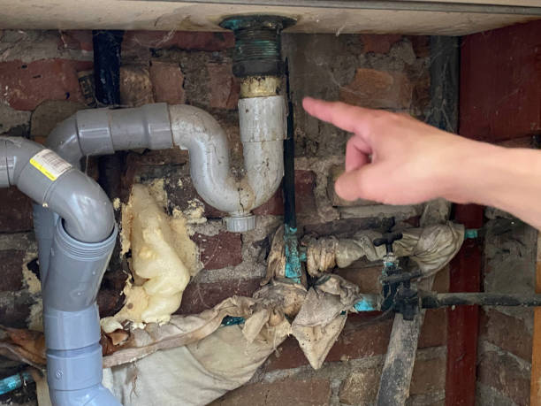 Best 24/7 water damage repair  in Trion, GA