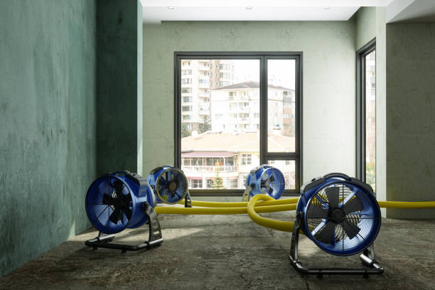 Best Mold removal after water damage  in Trion, GA